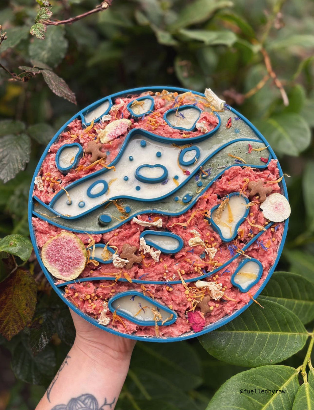 Mars 2-in-1 Slow Feeder & Lick Mat