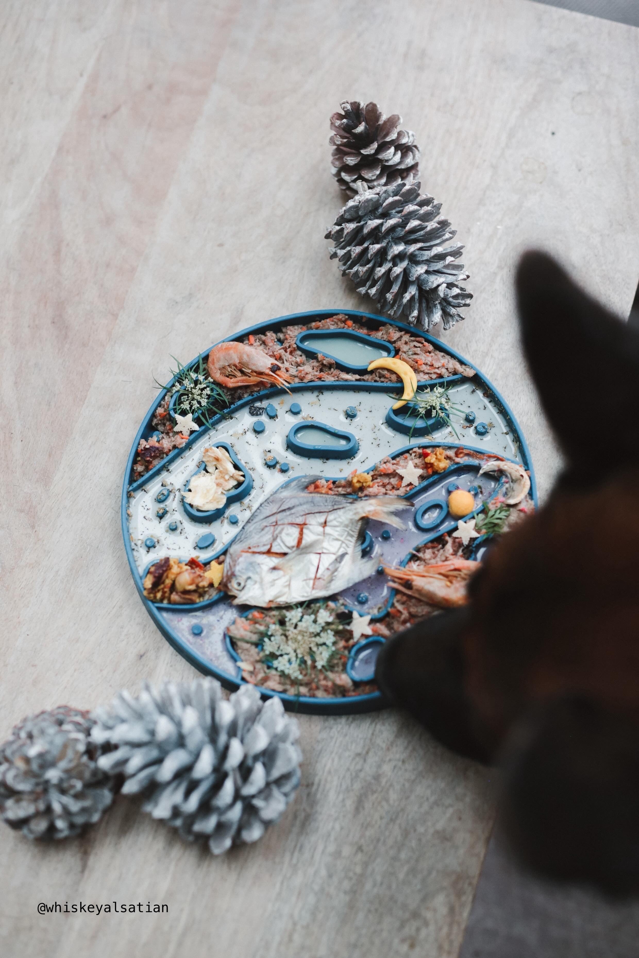 Mars 2-in-1 Slow Feeder & Lick Mat