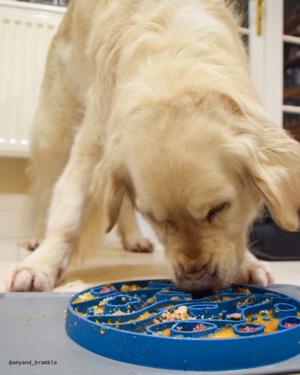 Mars 2-in-1 Slow Feeder & Lick Mat