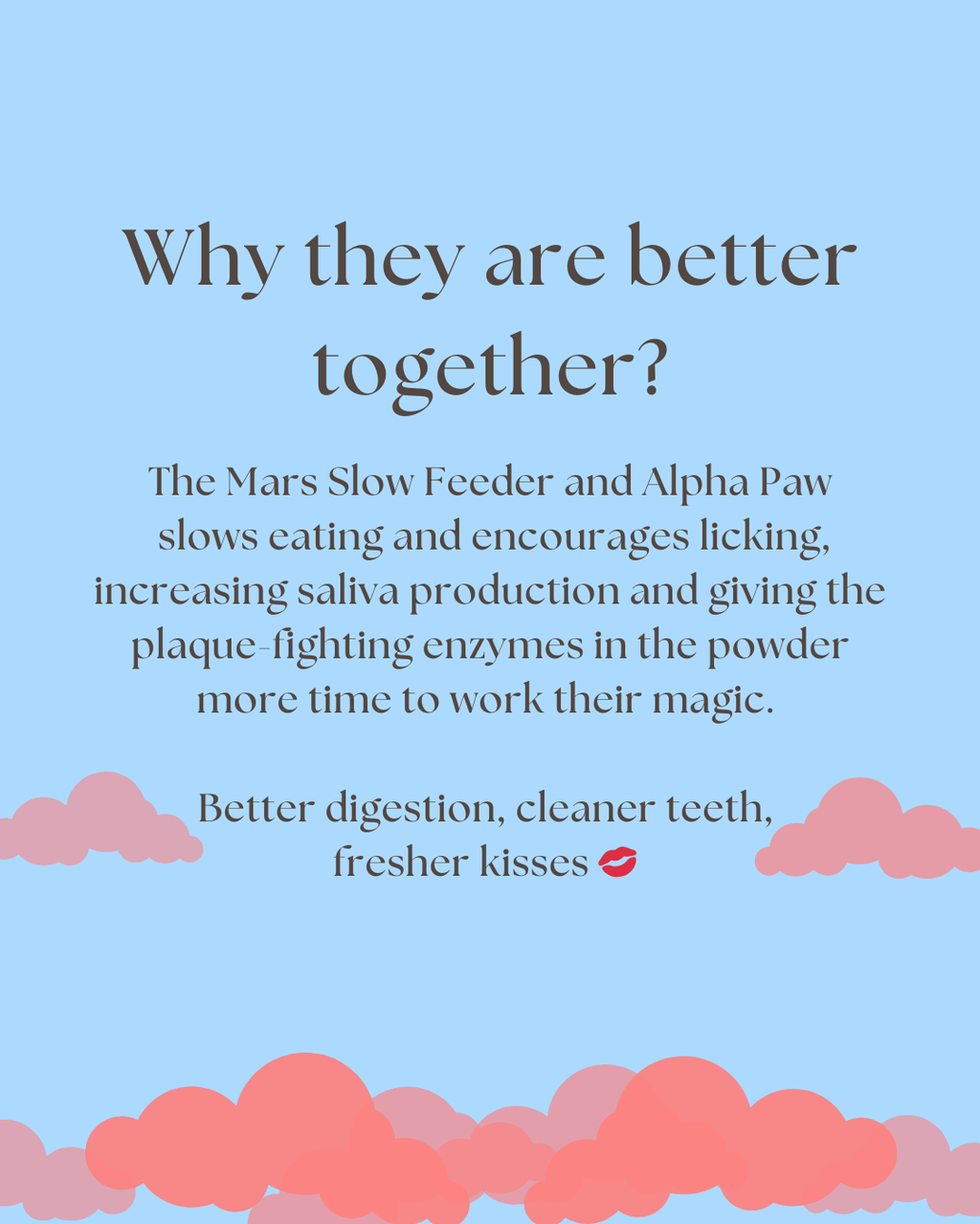 Pawlentine’s Enrichment Bundle