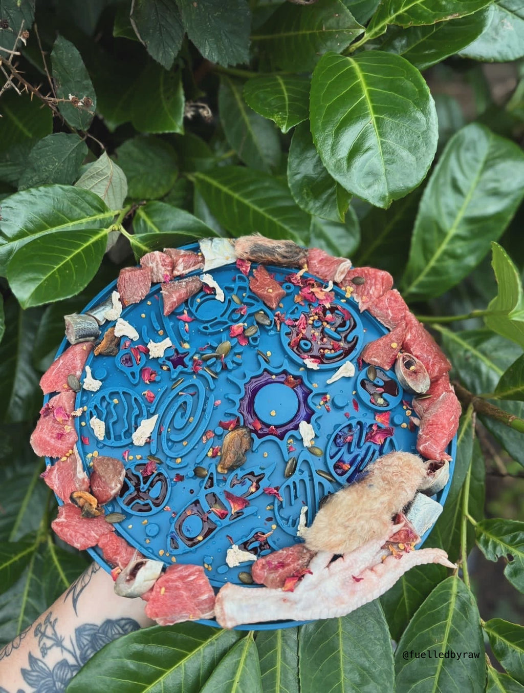 Mars 2-in-1 Slow Feeder & Lick Mat