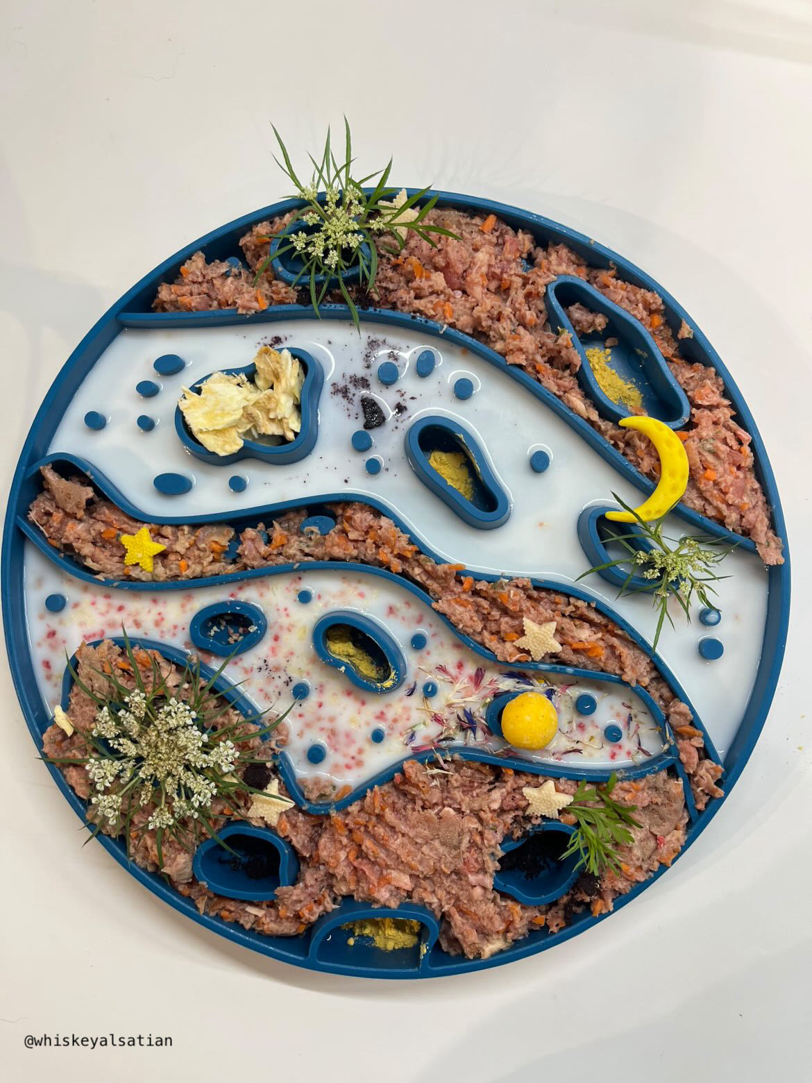 Mars 2-in-1 Slow Feeder & Lick Mat