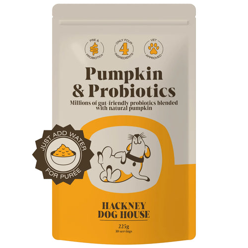 Pumpkin Probiotics
